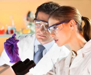 clinical lab scientists review slide