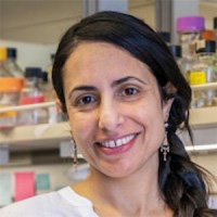 Shiri Levy, PhD